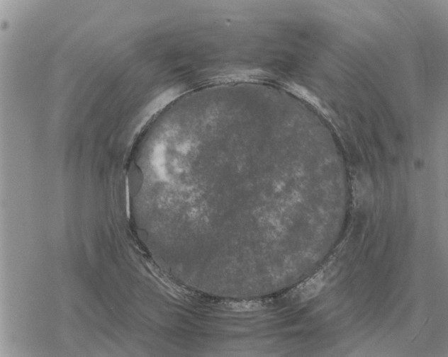 X0000078241219200611251230