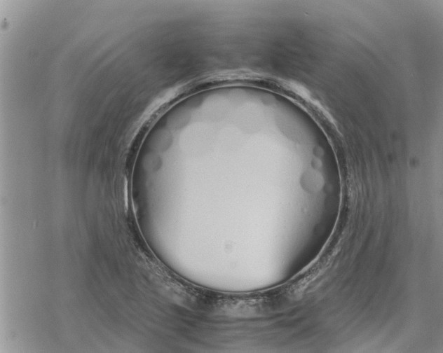 X0000078241221200611251230