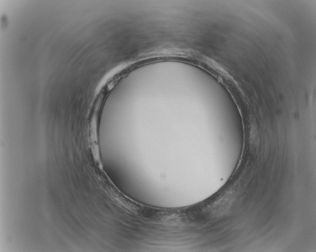 X0000078241222200611251230