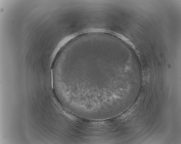 X0000078241223200611251230