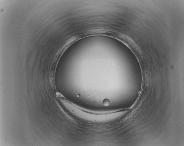 X0000078241225200611251230