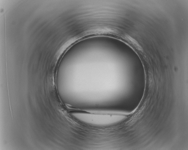 X0000078241226200611251231