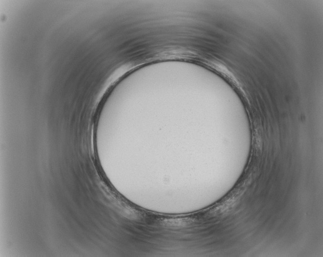 X0000078241227200611251231