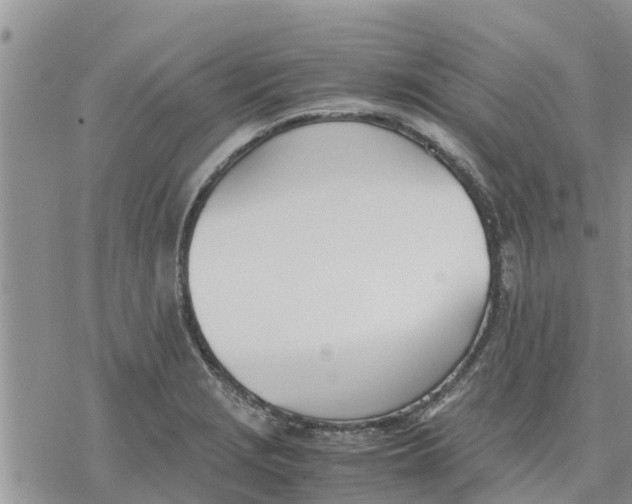 X0000078241229200611251231