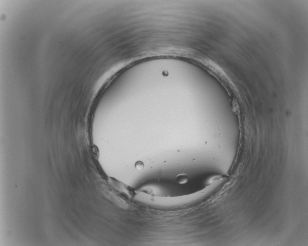 X0000078241230200611251231