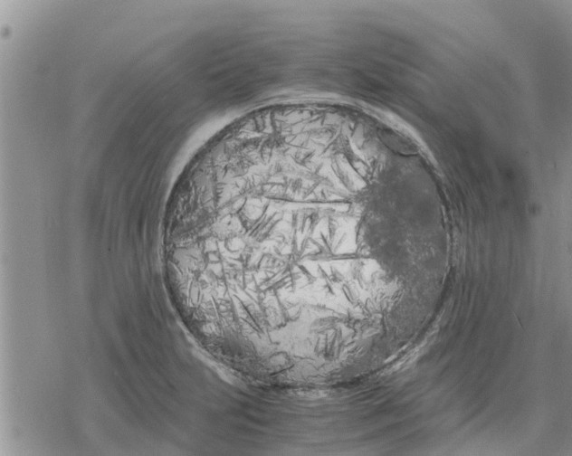 X0000078241231200611251231