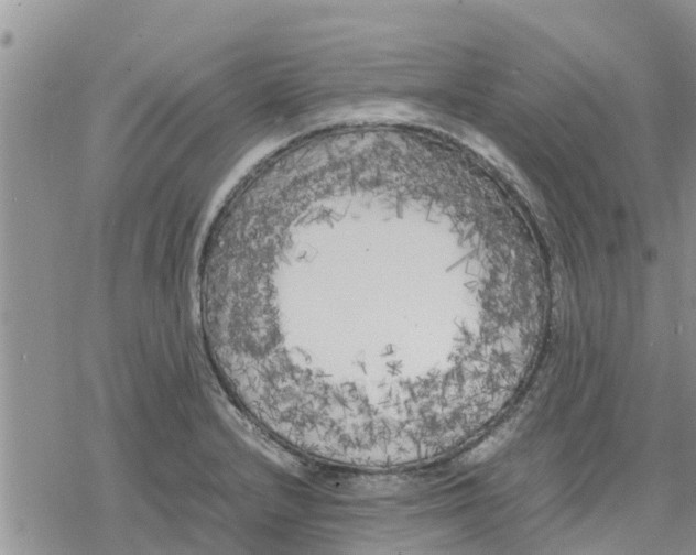 X0000078241232200611251231