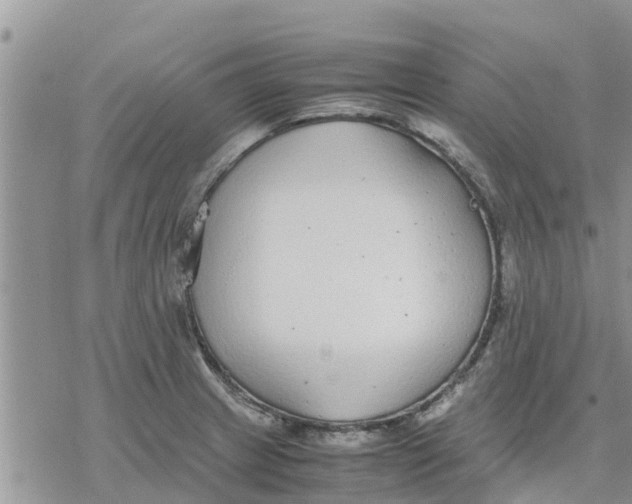 X0000078241233200611251231