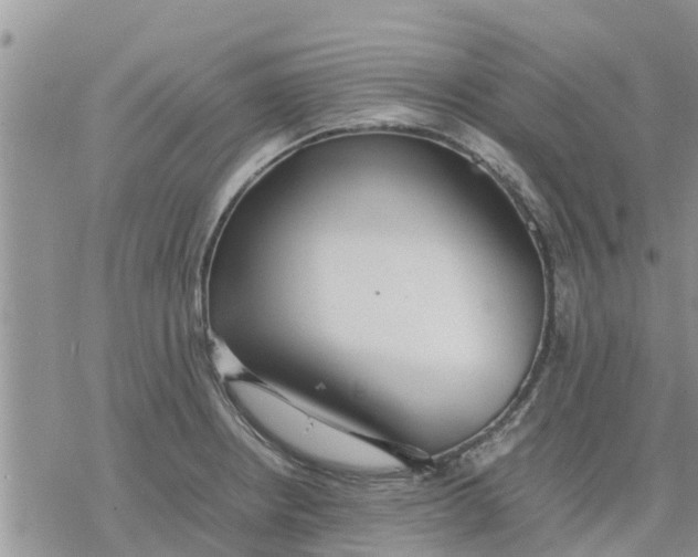 X0000078241234200611251231