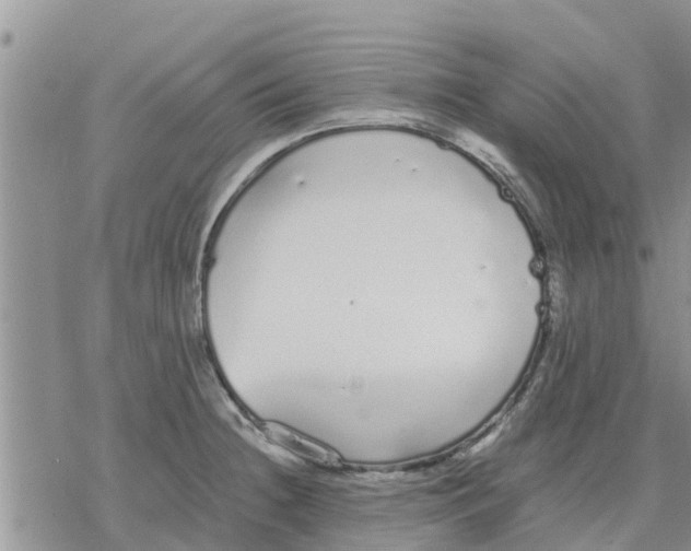 X0000078241236200611251231