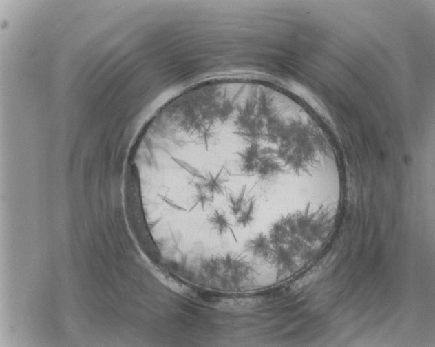 X0000078241237200611251231