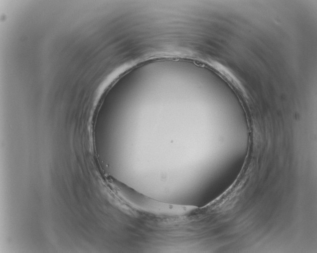 X0000078241238200611251231