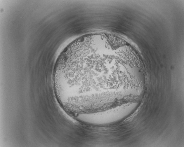 X0000078241239200611251231