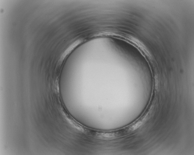 X0000078241241200611251231