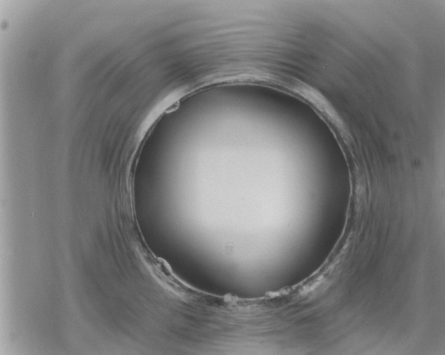 X0000078241242200611251231