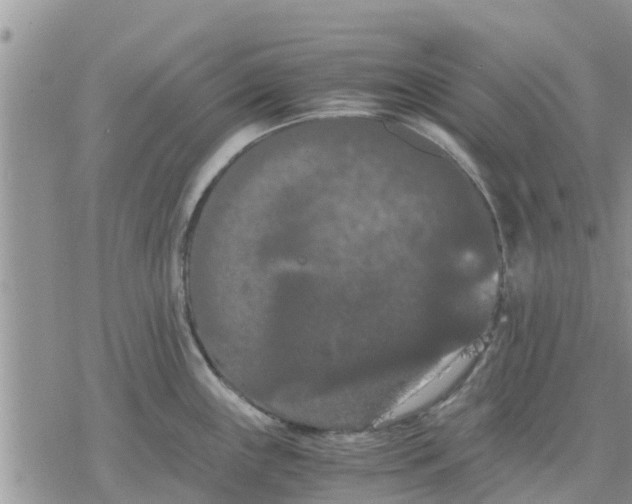 X0000078241243200611251231