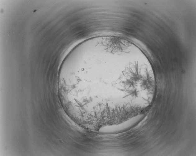 X0000078241244200611251231