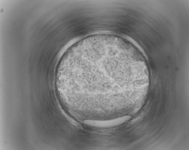 X0000078241245200611251231