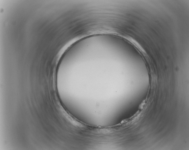 X0000078241246200611251231