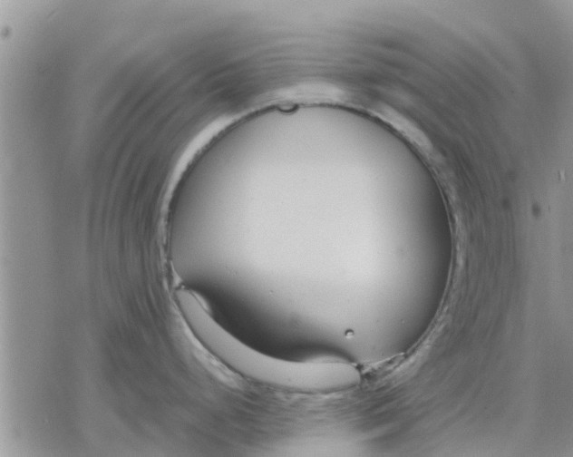 X0000078241248200611251231