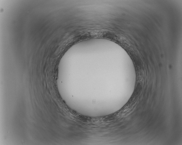 X0000078241249200611251230