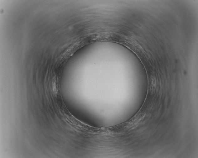 X0000078241250200611251230