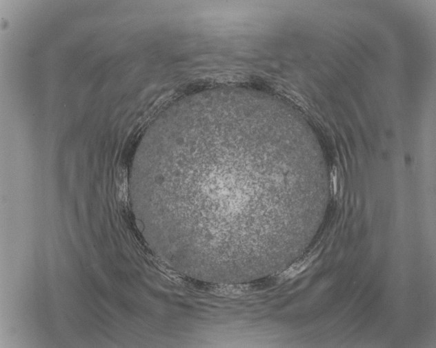 X0000078241251200611251230