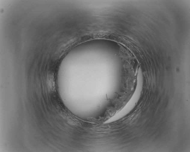 X0000078241252200611251230