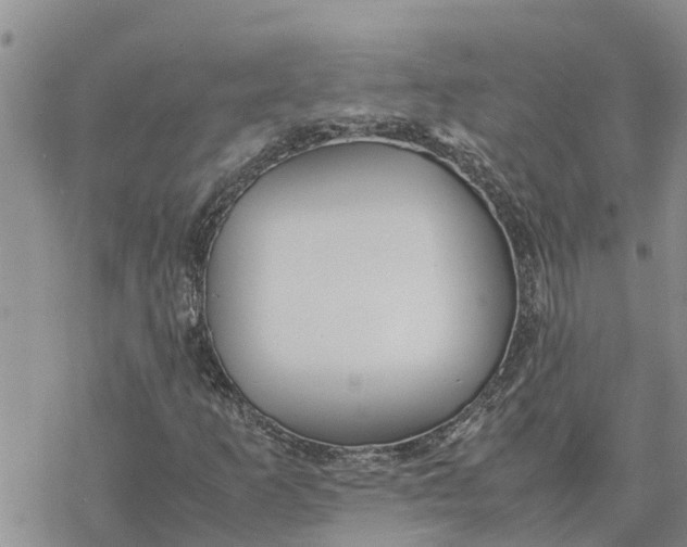 X0000078241253200611251230