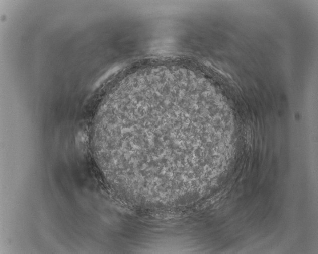 X0000078241254200611251230