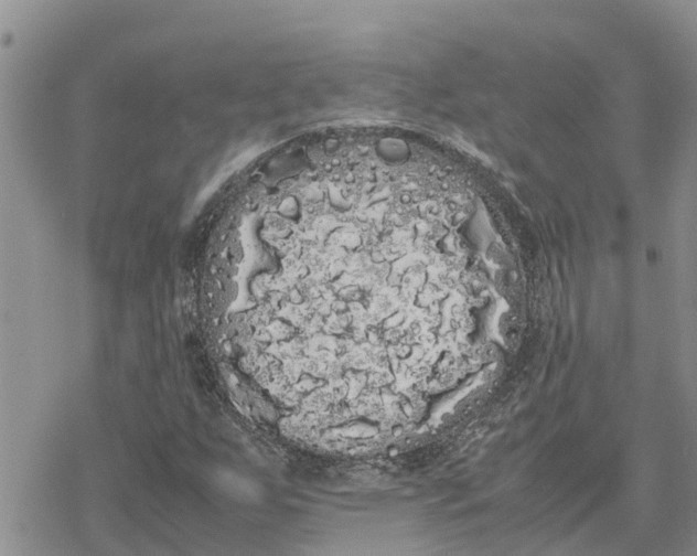 X0000078241255200611251230