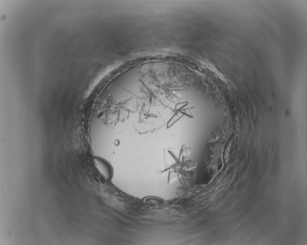 X0000078241256200611251230