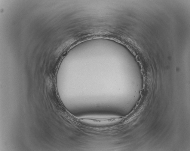 X0000078241257200611251230