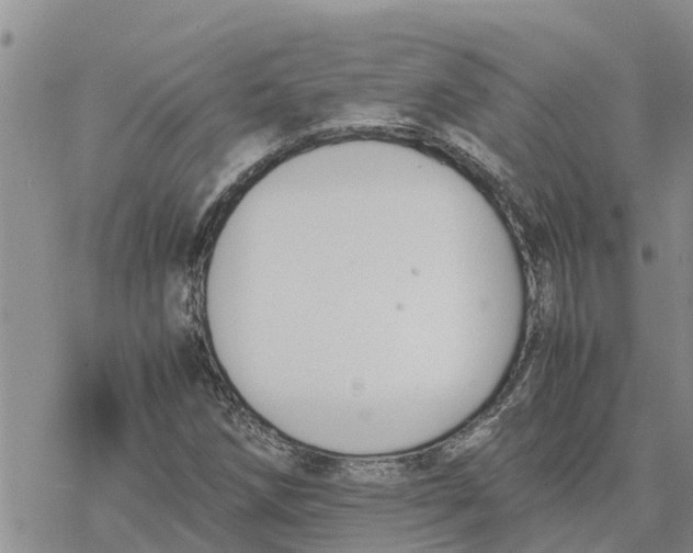 X0000078241258200611251230