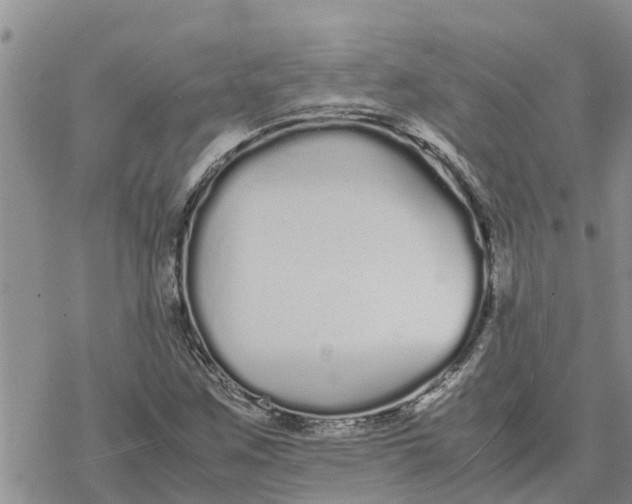 X0000078241259200611251230