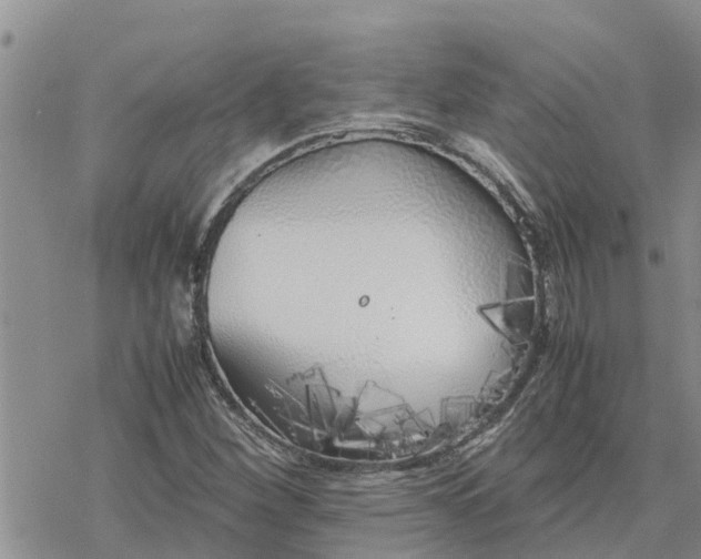 X0000078241260200611251230