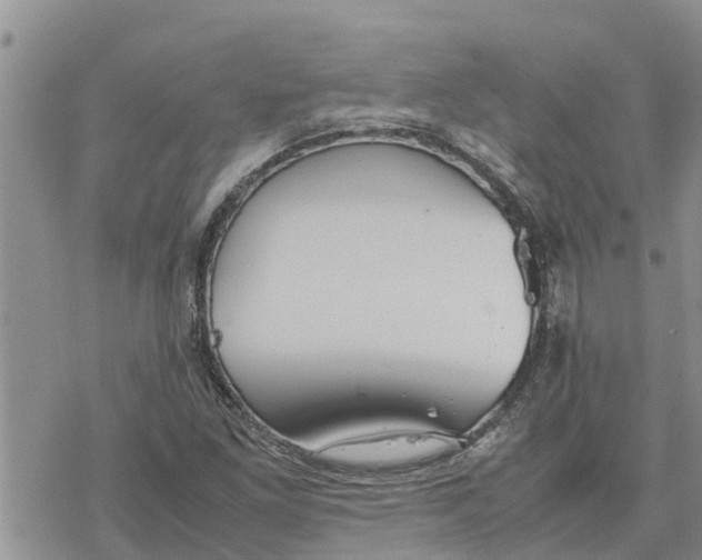 X0000078241261200611251230