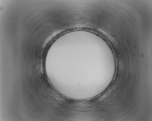 X0000078241262200611251230