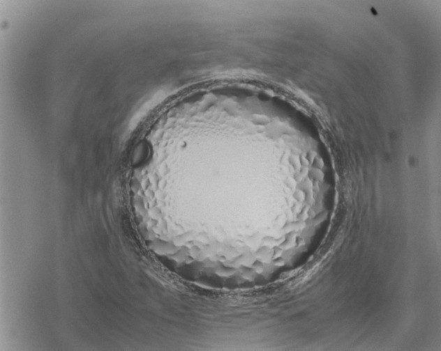 X0000078241263200611251230