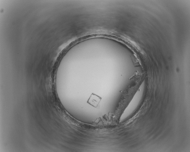 X0000078241264200611251230