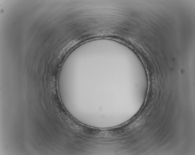 X0000078241265200611251230