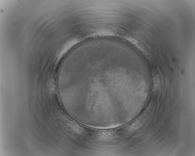 X0000078241266200611251230