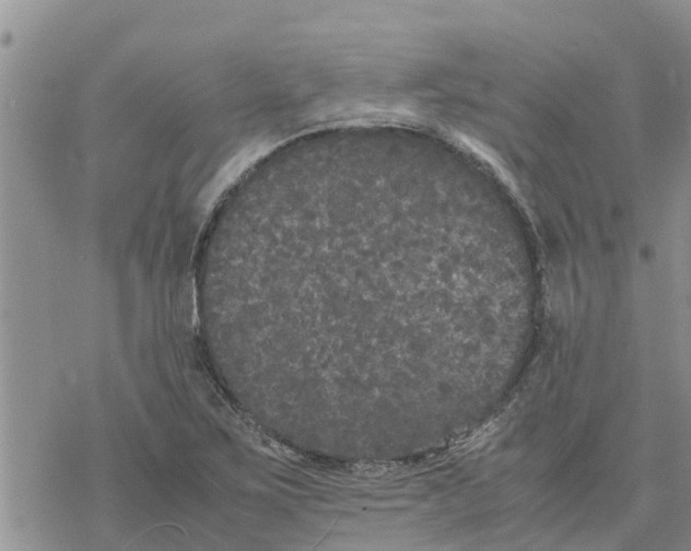 X0000078241267200611251230