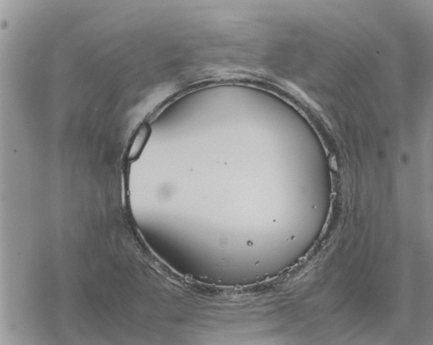 X0000078241269200611251230