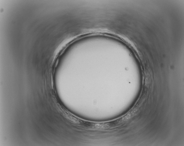 X0000078241271200611251230