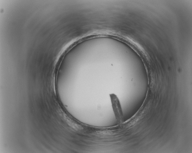 X0000078241272200611251230