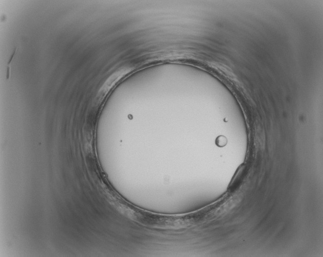 X0000078241273200611251230