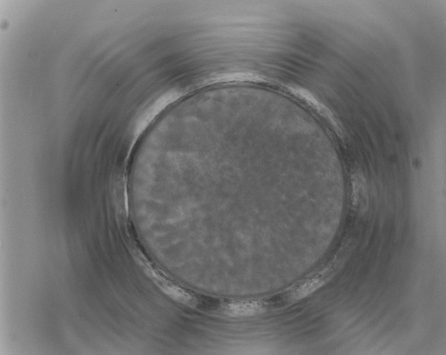 X0000078241274200611251230