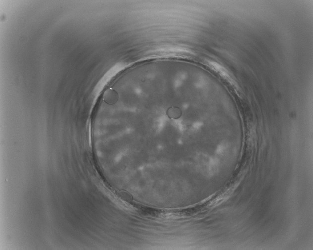 X0000078241275200611251230