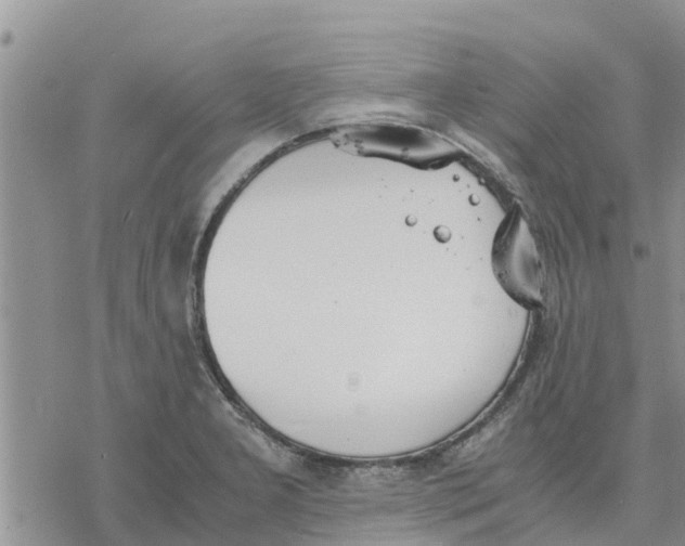 X0000078241277200611251230